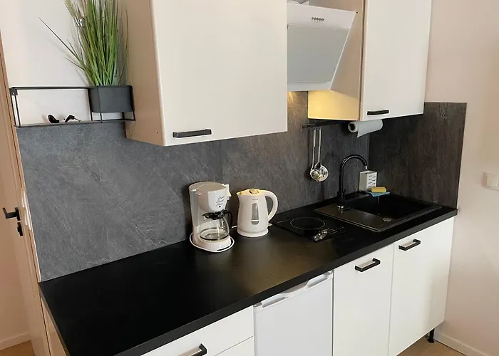 Wypoczynek Nowoczesna Malta Parking Goldair Apartment Poznan